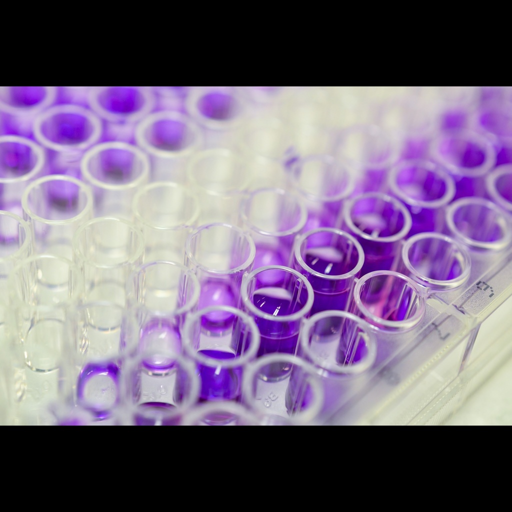 HRPsize:SA Streptavidin Horseradish Peroxidase  Activity ELISA Kit, 96 test